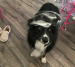 The BloxDoggos Milltary