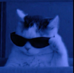 kwozzy