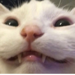four teeth per cent