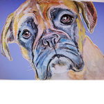 The fans of dogs group