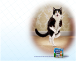 A Cats Gotta Go When a Cats Gotta Go!