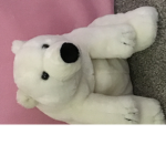 Polar Beary club
