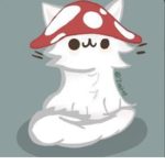 Dreaming Mushrooms