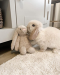 +Bunnys<3+
