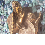Turtles loves