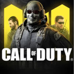 Call of duty in a nutshell
