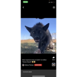 Fendi bug in the house!!!