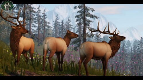 Cenozoic Survival