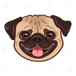 the pepper the pug fan club