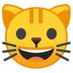 Gato squad [cat squad]