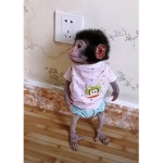 Monkeys and ######## ONLY