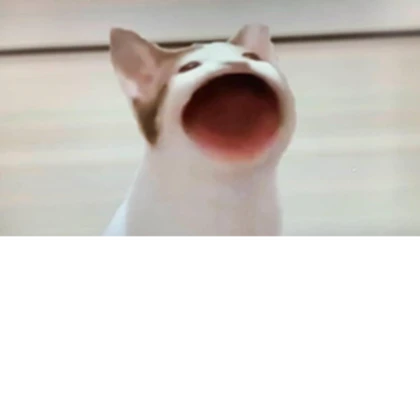 POP CAT PALACE Roblox group icon