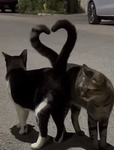 M+w
