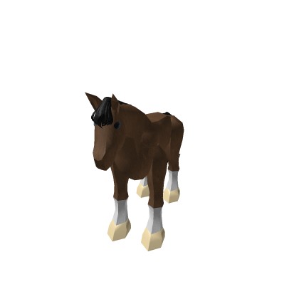 Arabian Horse