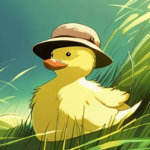 Duck Splash Studios