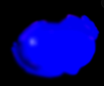 Blue bloods:>