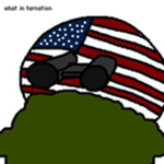Tarnation Development Group