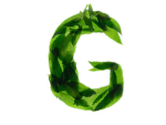 Greenwoodstime fan group