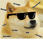 Agents of Doge