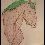 Kiwi's Magical Arabian!