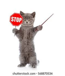 stop-