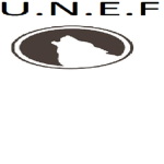 UN goverment