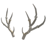 Ghostly Antlers Bones