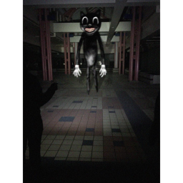 Escape Cartoon Cat