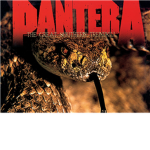 pantera