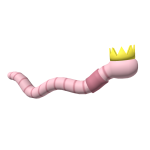 Early Bird Worm