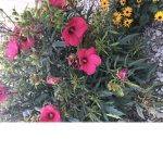 Flower Powerrrrrr!!…!!!