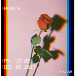 MRPUW's FAN GROUP