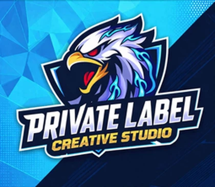 PvL CREATIVE STUDIO Roblox group icon