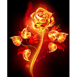 Rose's Rebel's