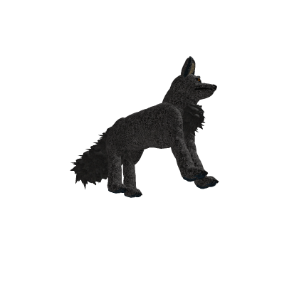 Fox Model