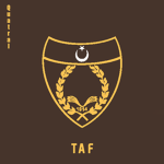 (TAF) Askeri İnzibat