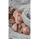 CloudyxStudios