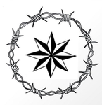 Brashevskaya Bratva Crime Organization