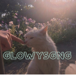 glowysgsng