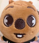 Hanquokka stans