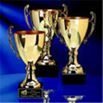 Robloxian Choice Awards