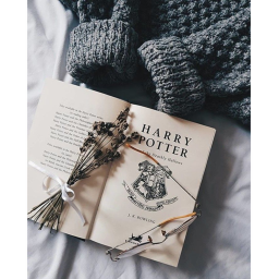 Harry Potter hangout