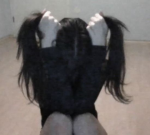 /dolly