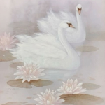 Trading_Swan Group Thumbnail