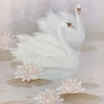 Trading_Swan Group Thumbnail