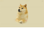 Doge epic clup