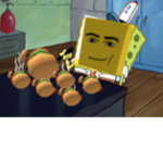 Sponges!!