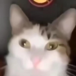 The Cuatlayotls