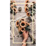 ..Sunflower..