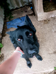 Luna und die besten